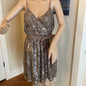 Sequin Express Medium Dress